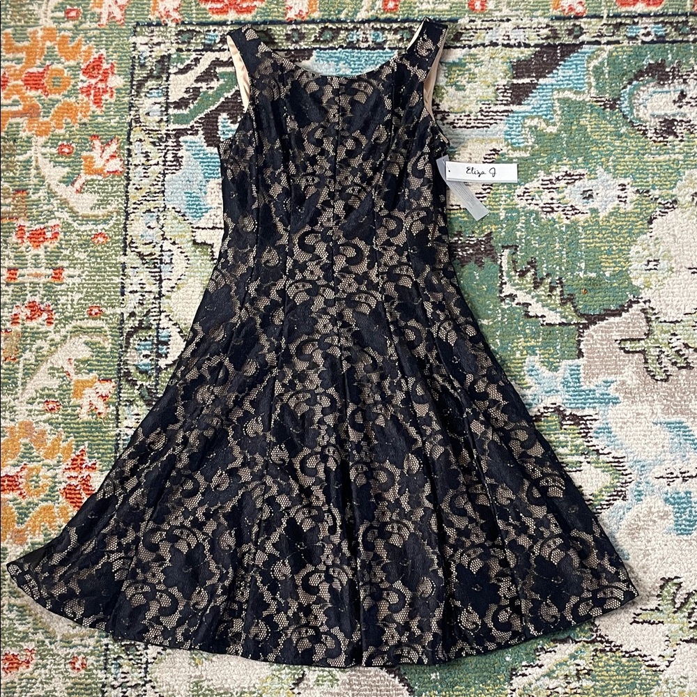 Black Lace Fit-and-Flare Dress with Nude Lining